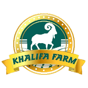 Khalifa Farm Indonesia : Qurban Merata dan Qurban Mandiri